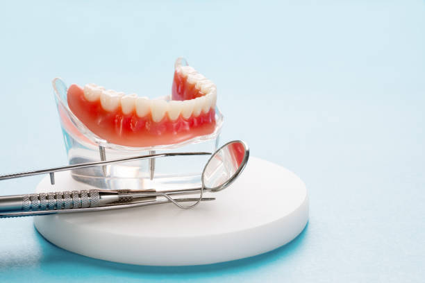 Professional  Holistic Dental Services in Longwood, FL
